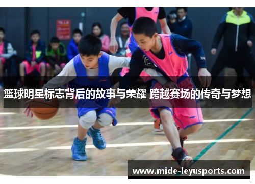 篮球明星标志背后的故事与荣耀 跨越赛场的传奇与梦想